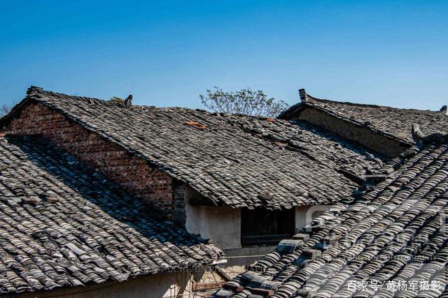 端午节礼包《十万个冷笑话》限时领取中-足球赌注软件APP(图2) 十大足球赌注软件排行榜