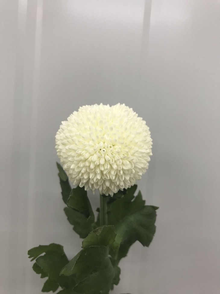 恒大正式更名“中国恒大集团”【十大足球赌注软件】