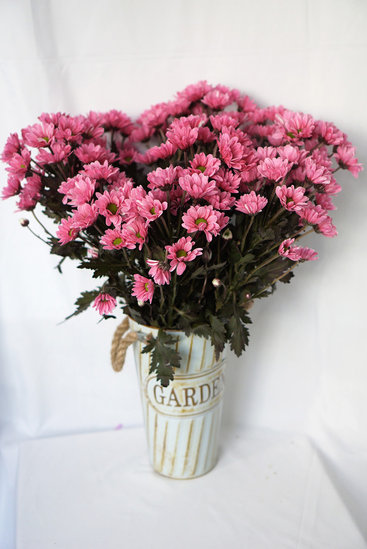 足球赌注软件APP