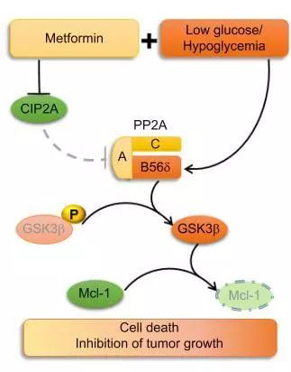 “足球赌注软件APP”加价两次！威克多9.7亿摘大兴新城北区地块