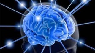 足球赌注软件APP