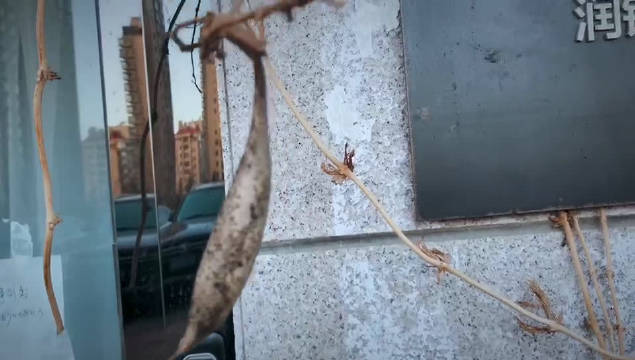 足球赌注软件APP