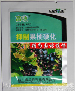 十大足球赌注软件