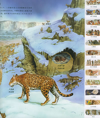 足球赌注软件APP