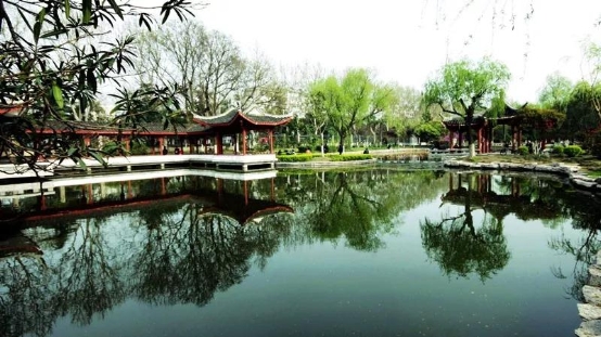 足球赌注软件APP