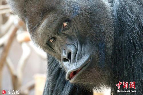 十大足球赌注软件